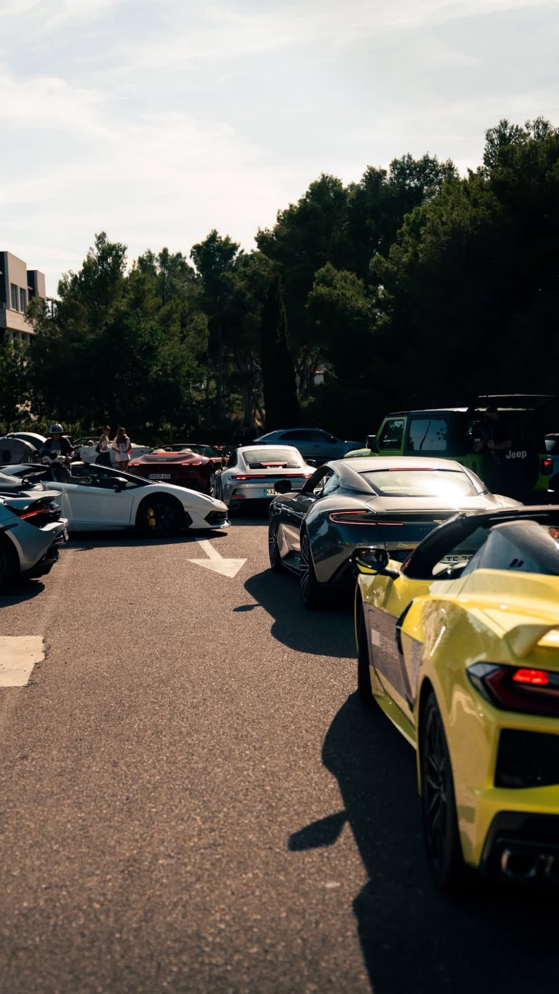 Konvoi aus Corvette, Aston Martin und Lamborghini mit Teilnehmern